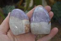 Polished Dream Amethyst Standing Free Forms x 12 From Ambatondrazaka, Madagascar - Toprock Gemstones and Minerals 