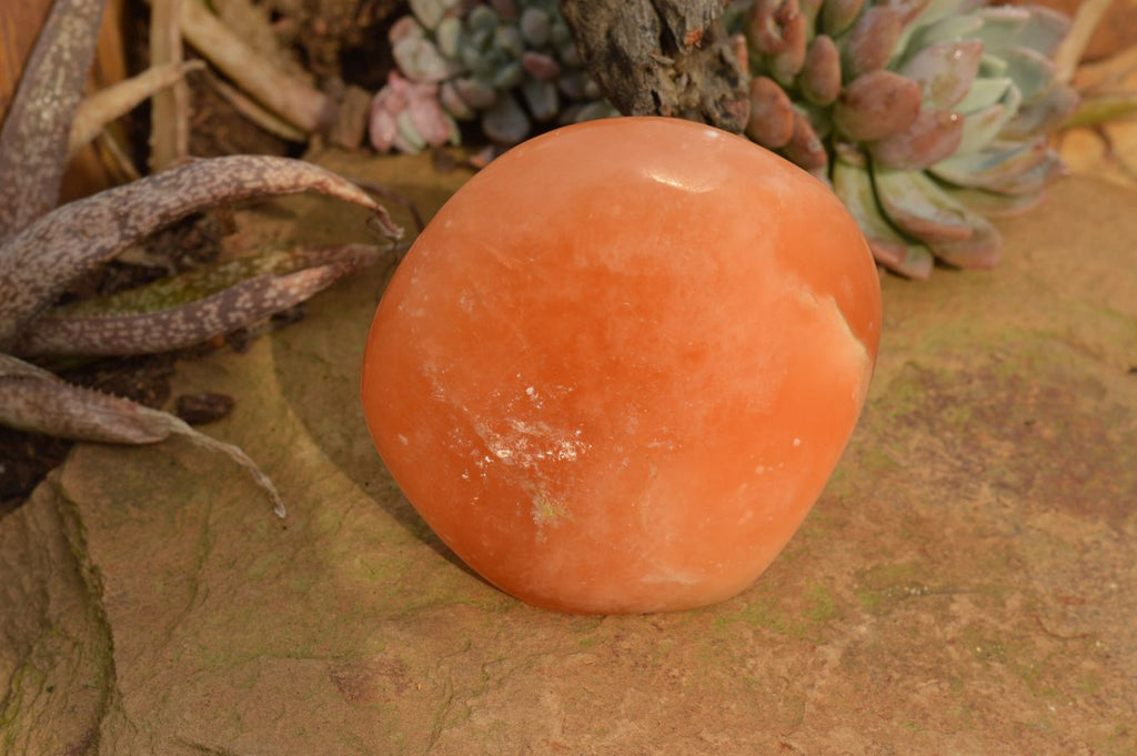 Polished Orange Twist Calcite Standing Free Forms  x 4 From Madagascar - TopRock