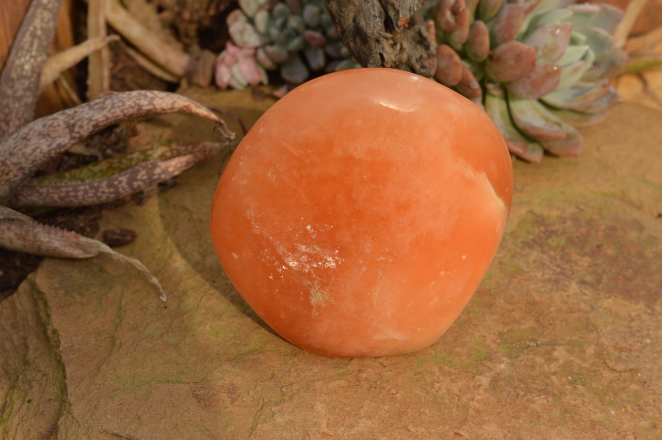 Polished Orange Twist Calcite Standing Free Forms  x 4 From Madagascar - TopRock