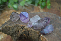Natural Single Smokey Amethyst Crystals  x 35 From Chiredzi, Zimbabwe - Toprock Gemstones and Minerals 