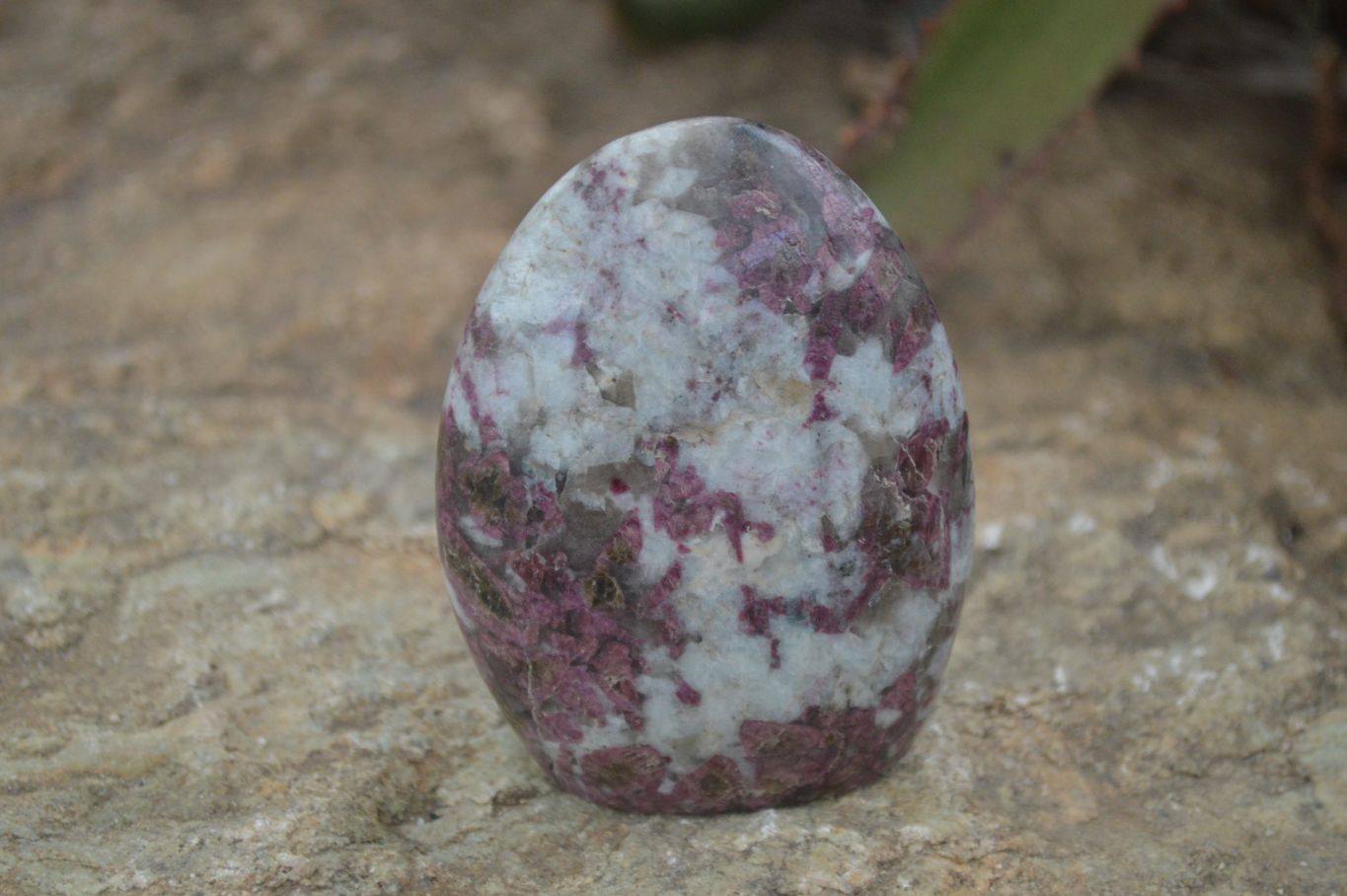 Polished Rubellite Pink Tourmaline Matrix Standing Free Forms x 4 From Madagascar - Toprock Gemstones and Minerals 