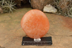Polished Orange Twist Calcite Standing Free Forms  x 4 From Madagascar - TopRock