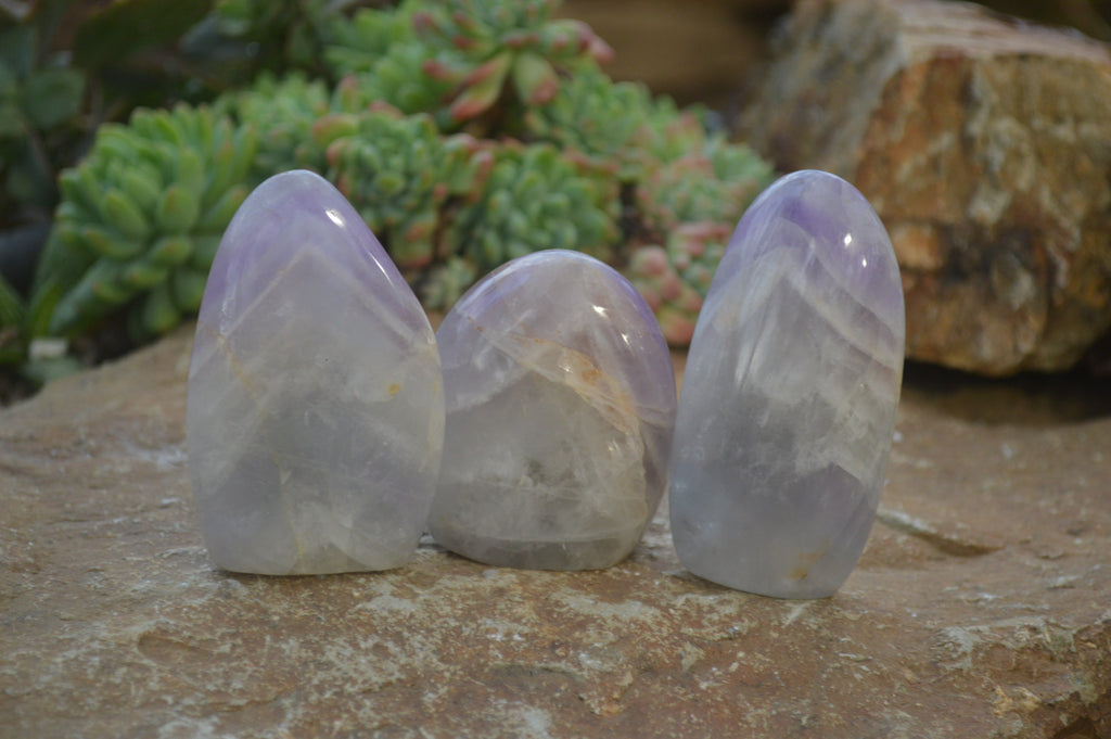 Polished Dream Amethyst Standing Free Forms x 12 From Ambatondrazaka, Madagascar - Toprock Gemstones and Minerals 