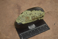 Polished  Spotted Leopard Stone Gallets  x 6 From Zimbabwe - Toprock Gemstones and Minerals 