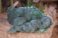 Natural Large Botryoidal Malachite Specimen  x 1 From Kolwezi, Congo - Toprock Gemstones and Minerals 