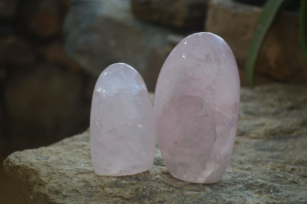 Polished Pink Rose Quartz Standing Free Forms x 6 From Antsirabe, Madagascar - Toprock Gemstones and Minerals 