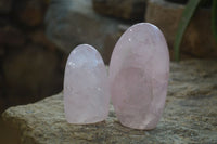 Polished Pink Rose Quartz Standing Free Forms x 6 From Antsirabe, Madagascar - Toprock Gemstones and Minerals 