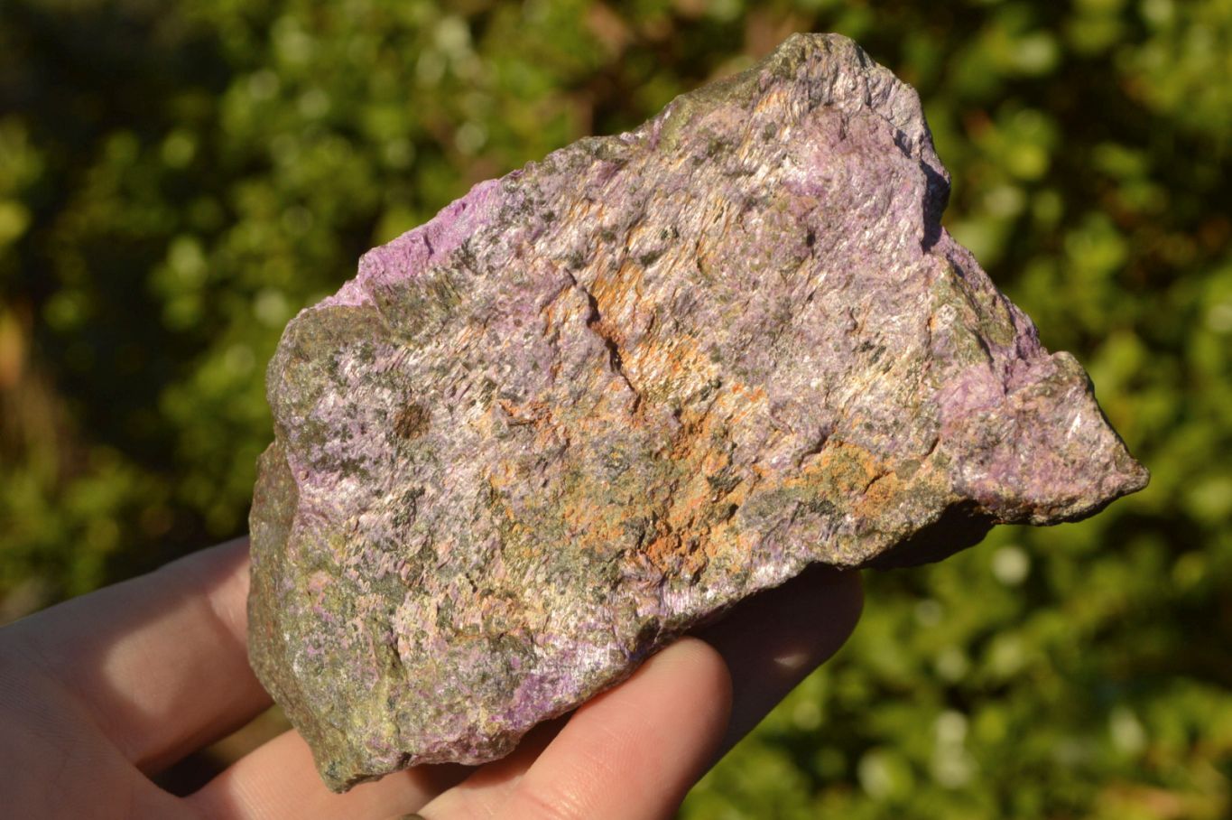 Natural Rough Stichtite (Atlantisite) Specimens  x 5 From Southern Africa - TopRock