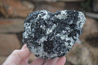 Natural Schorl Black Tourmaline Specimens x 2 From Erongo, Namibia - Toprock Gemstones and Minerals 