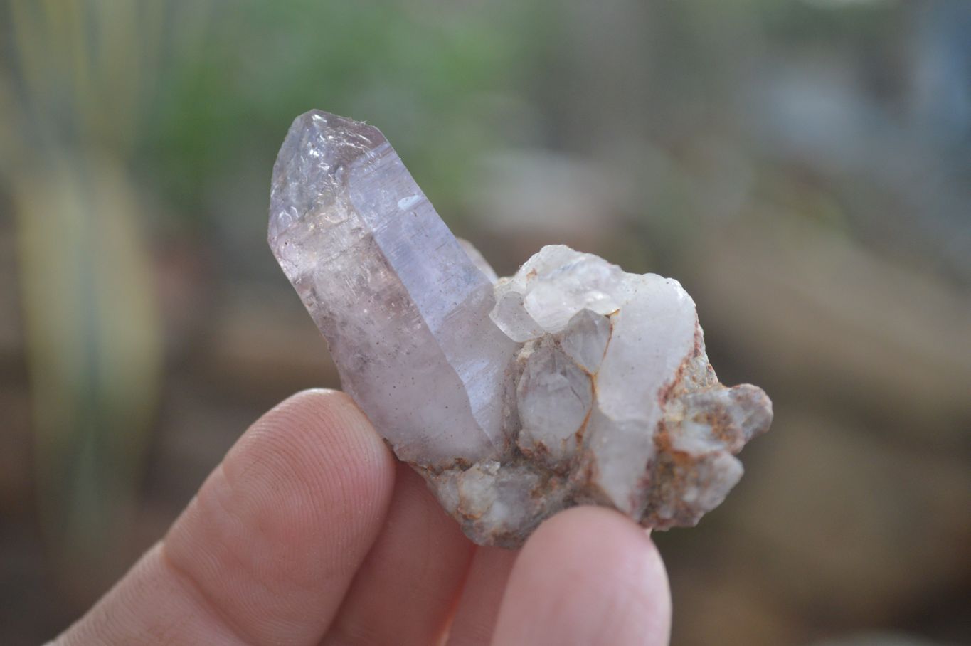 Natural Single Window Amethyst Crystals  x 12 From Chiredzi, Zimbabwe - Toprock Gemstones and Minerals 