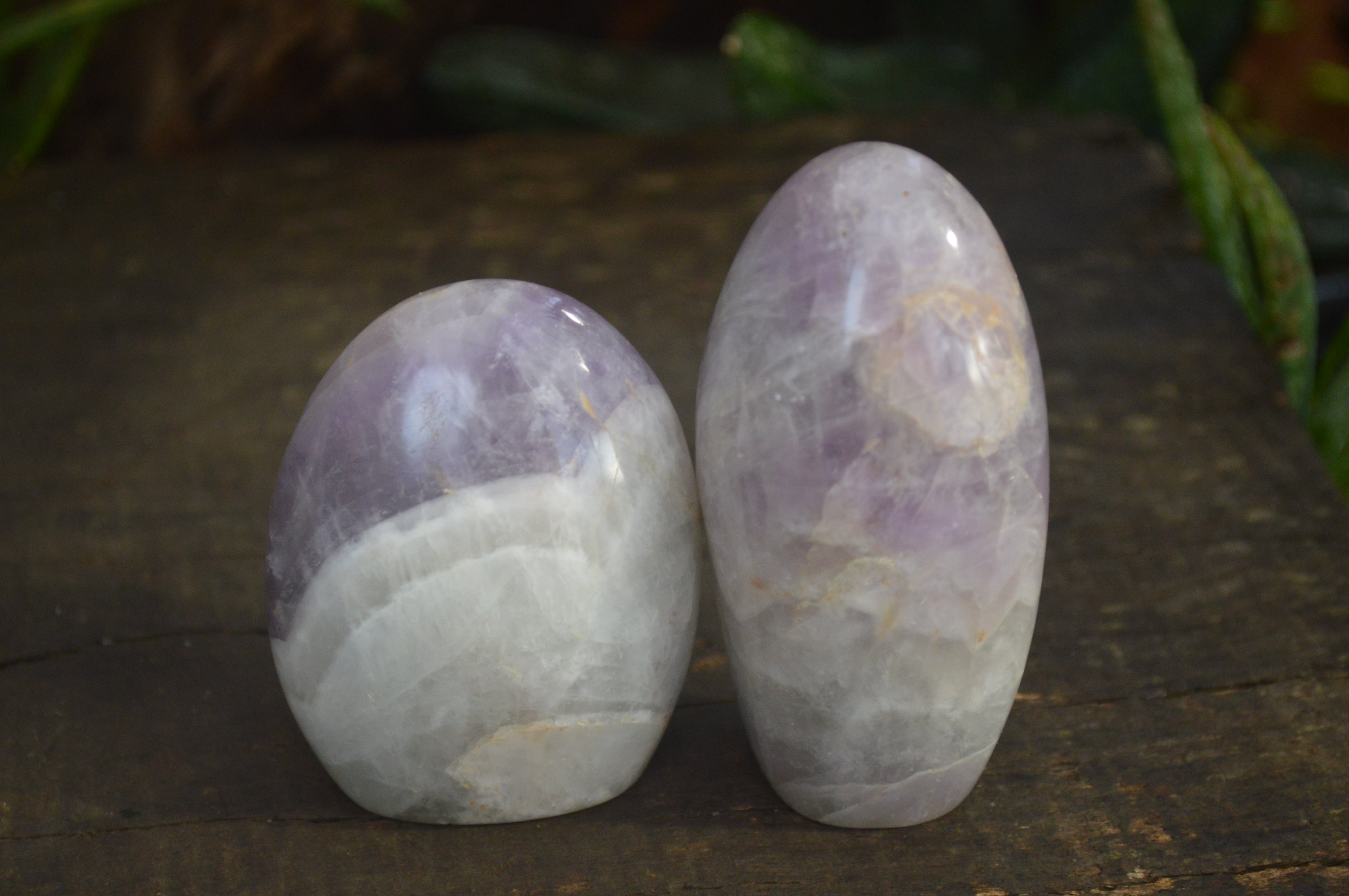 Polished Dream Amethyst Standing Free Forms x 12 From Ambatondrazaka, Madagascar - Toprock Gemstones and Minerals 