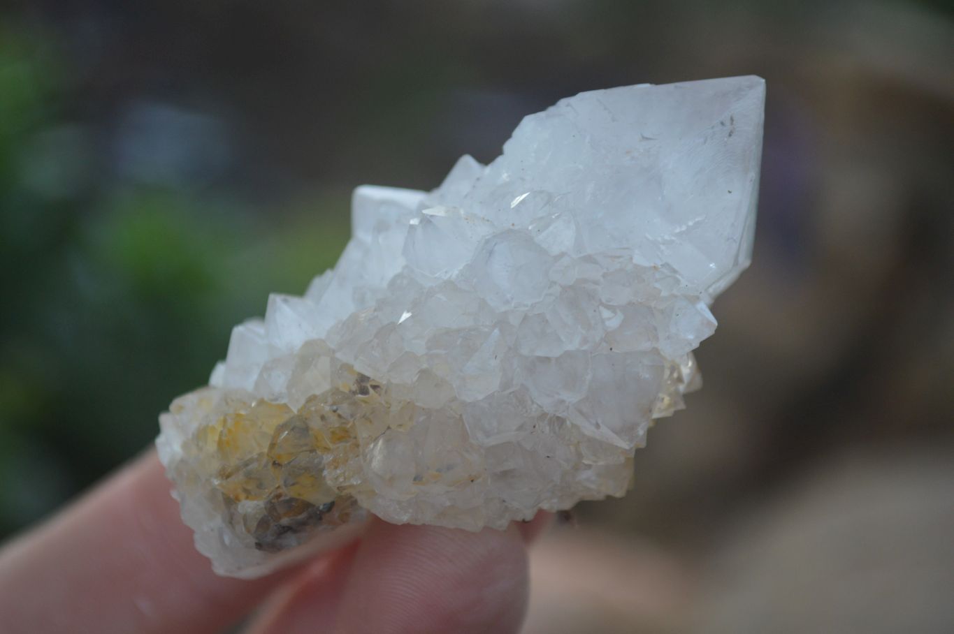 Natural Cactus Flower Spirit Quartz Clusters  x 20 From Boekenhouthoek, South Africa - Toprock Gemstones and Minerals 