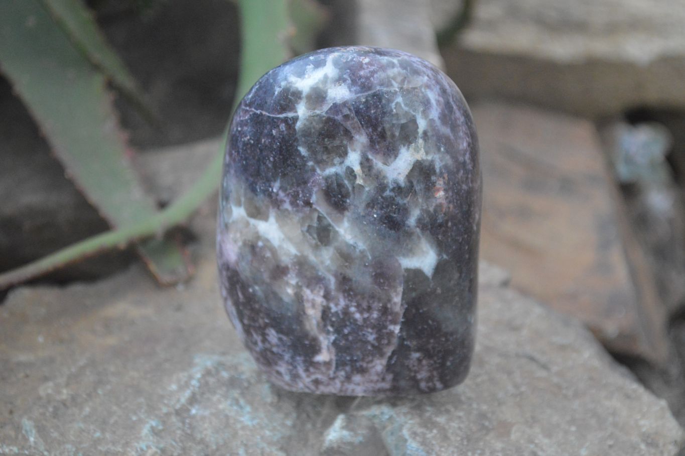 Polished Lepidolite Standing Free Forms  x 2 From Zimbabwe - Toprock Gemstones and Minerals 
