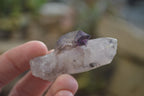 Natural Mini Amethyst Crystals  x 12 From Chiredzi, Zimbabwe - Toprock Gemstones and Minerals 