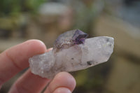 Natural Mini Amethyst Crystals  x 12 From Chiredzi, Zimbabwe - Toprock Gemstones and Minerals 