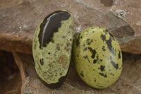 Polished  Spotted Leopard Stone Gallets  x 6 From Zimbabwe - Toprock Gemstones and Minerals 