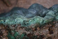 Natural Large Botryoidal Malachite Specimen  x 1 From Kolwezi, Congo - Toprock Gemstones and Minerals 
