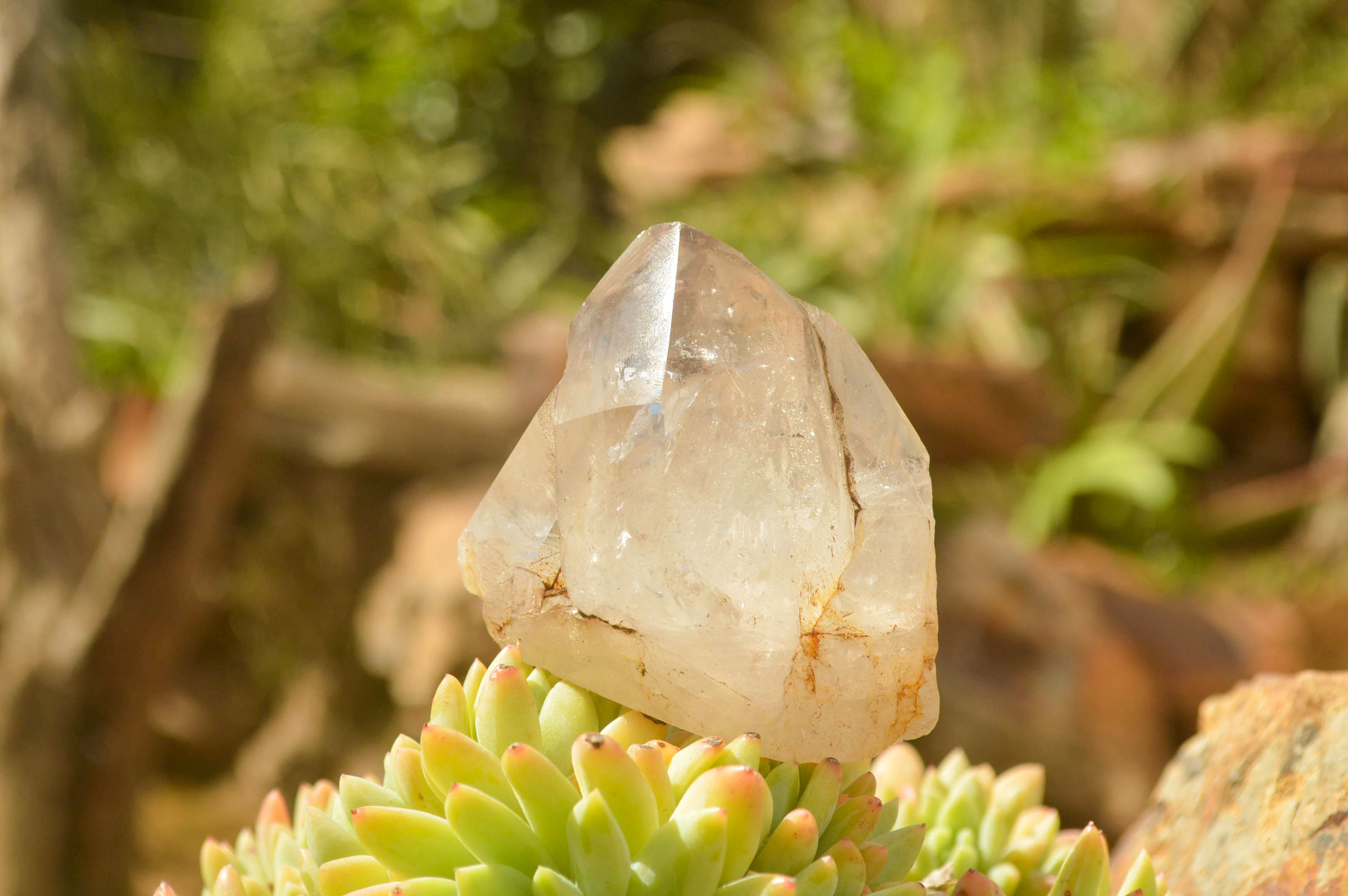 Polished Groovy Mixed Selection Of Quartz Crystals  x 6 From Madagascar - TopRock