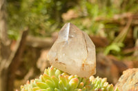 Polished Groovy Mixed Selection Of Quartz Crystals  x 6 From Madagascar - TopRock