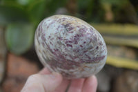 Polished Rubellite Pink Tourmaline Matrix Standing Free Forms x 4 From Madagascar - Toprock Gemstones and Minerals 