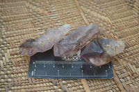 Natural Mini Amethyst Crystals  x 12 From Chiredzi, Zimbabwe - Toprock Gemstones and Minerals 