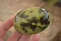 Polished  Spotted Leopard Stone Gallets  x 6 From Zimbabwe - Toprock Gemstones and Minerals 