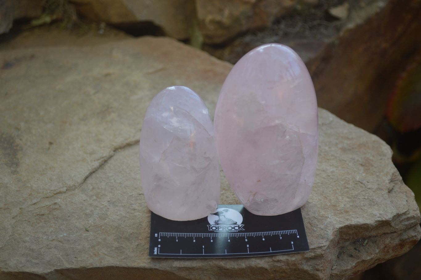 Polished Pink Rose Quartz Standing Free Forms x 6 From Antsirabe, Madagascar - Toprock Gemstones and Minerals 