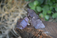 Natural Single Smokey Amethyst Crystals  x 35 From Chiredzi, Zimbabwe - Toprock Gemstones and Minerals 
