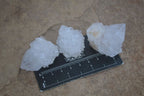 Natural Cactus Flower Spirit Quartz Clusters  x 20 From Boekenhouthoek, South Africa - Toprock Gemstones and Minerals 