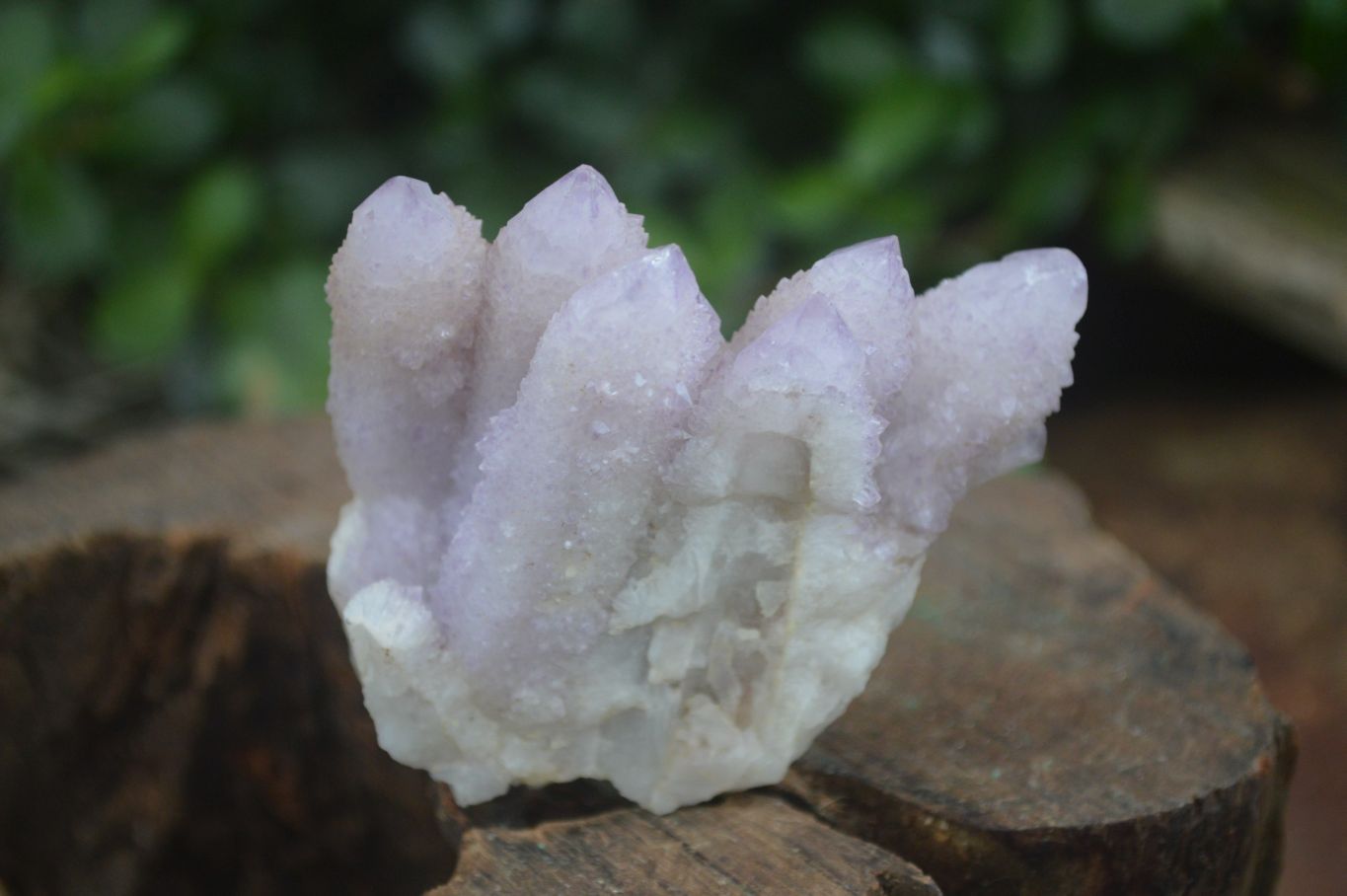 Natural Mixed Spirit Quartz Clusters  x 12 From Boekenhouthoek, South Africa - Toprock Gemstones and Minerals 