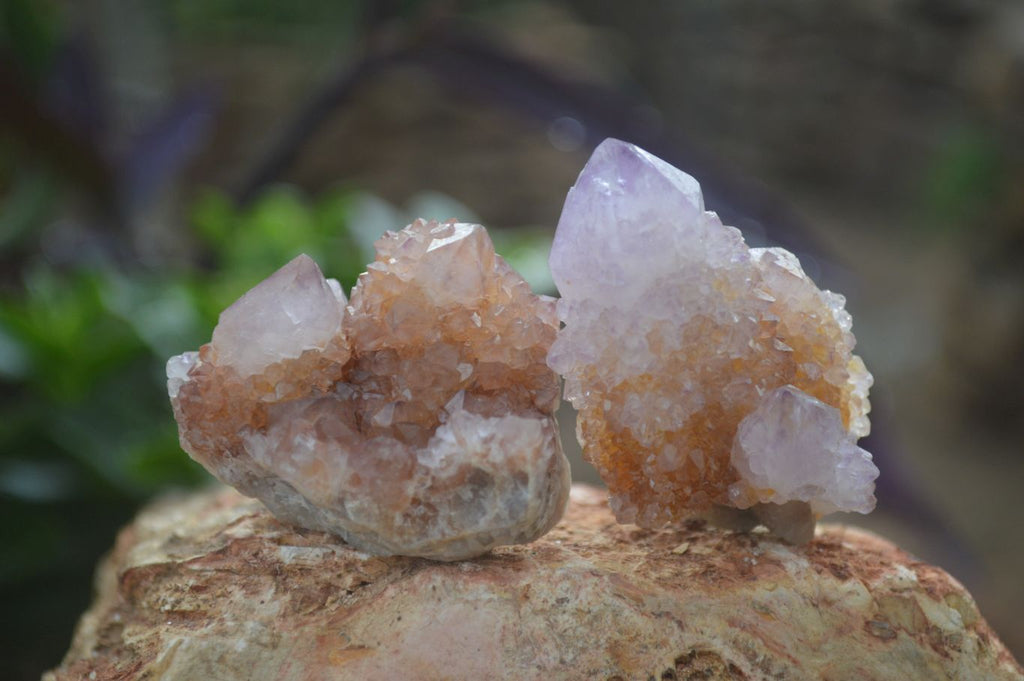 Natural Rare Spirit Ametrine Quartz Crystals  x 35 From Boekenhouthoek, South Africa - Toprock Gemstones and Minerals 