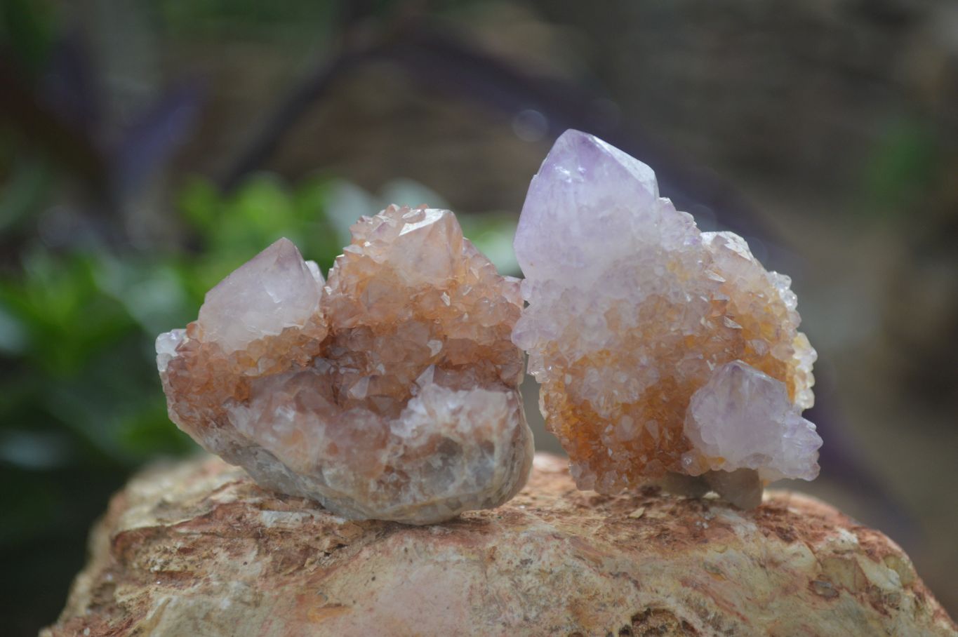 Natural Rare Spirit Ametrine Quartz Crystals  x 35 From Boekenhouthoek, South Africa - Toprock Gemstones and Minerals 