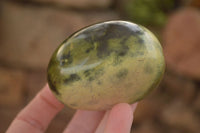 Polished  Spotted Leopard Stone Gallets  x 6 From Zimbabwe - Toprock Gemstones and Minerals 