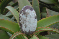 Polished Rubellite Pink Tourmaline Matrix Standing Free Forms x 4 From Madagascar - Toprock Gemstones and Minerals 