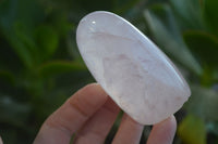 Polished Pink Rose Quartz Standing Free Forms x 6 From Antsirabe, Madagascar - Toprock Gemstones and Minerals 