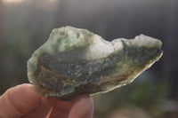 Natural Rough Jade Cobbed Specimens x 24 From Swaziland
