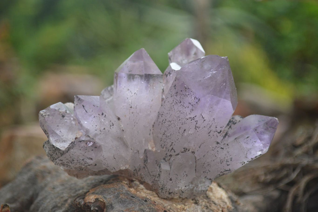 Natural Amethyst Crystal Specimens x 12 From Zambia - TopRock