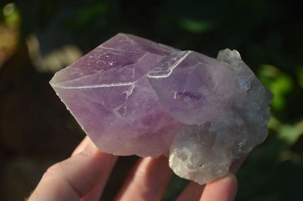 Natural Extra Large Single Jacaranda Amethyst Crystals  x 6 From Zambia - Toprock Gemstones and Minerals 
