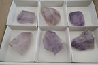 Polished Window Amethyst Quartz Points x 6 From Ankazobe, Madagascar - Toprock Gemstones and Minerals 