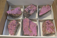 Natural Pink Salrose Cobaltion Dolomite Specimens  x 6 From Kakanda, Congo - Toprock Gemstones and Minerals 