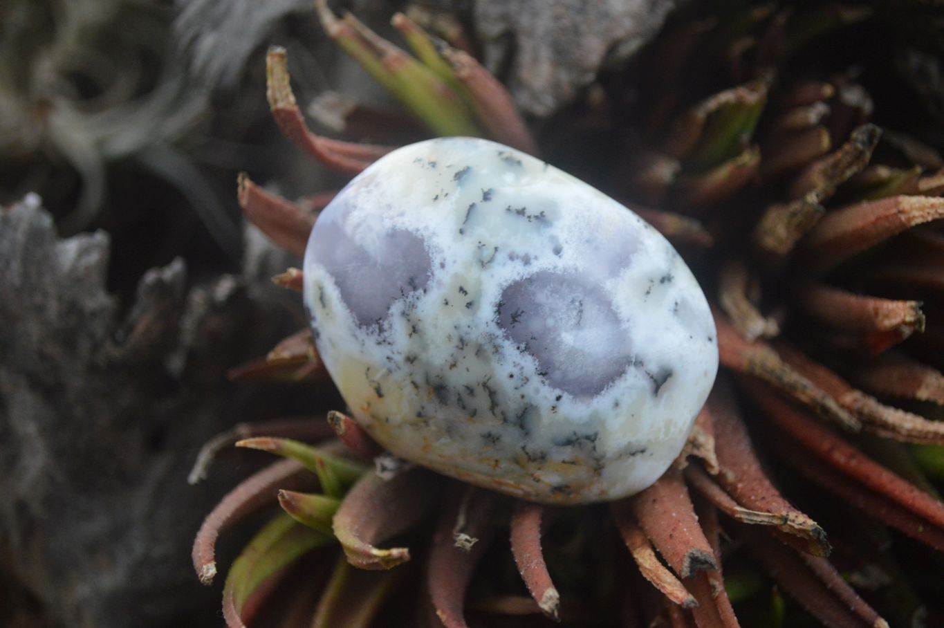 Polished Mixed Selection Of Retail Items  x 4 From Southern Africa - Toprock Gemstones and Minerals 