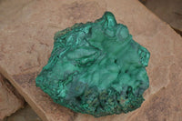 Natural Large Botryoidal Crystalline Malachite Specimen  x 1 From Congo - Toprock Gemstones and Minerals 