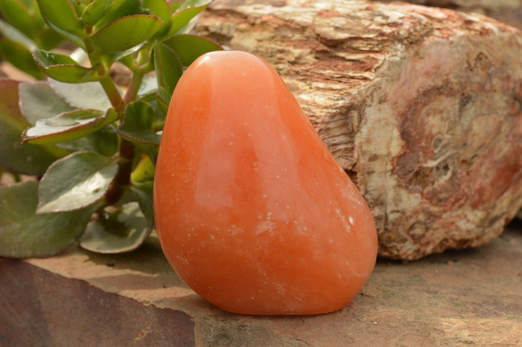 Polished Orange Twist Calcite Standing Free Forms  x 4 From Madagascar - TopRock