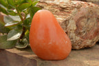 Polished Orange Twist Calcite Standing Free Forms  x 4 From Madagascar - TopRock