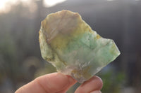 Natural Rough Jade Cobbed Specimens x 24 From Swaziland