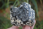 Natural Schorl Black Tourmaline Specimens  x 4 From Erongo, Namibia - Toprock Gemstones and Minerals 