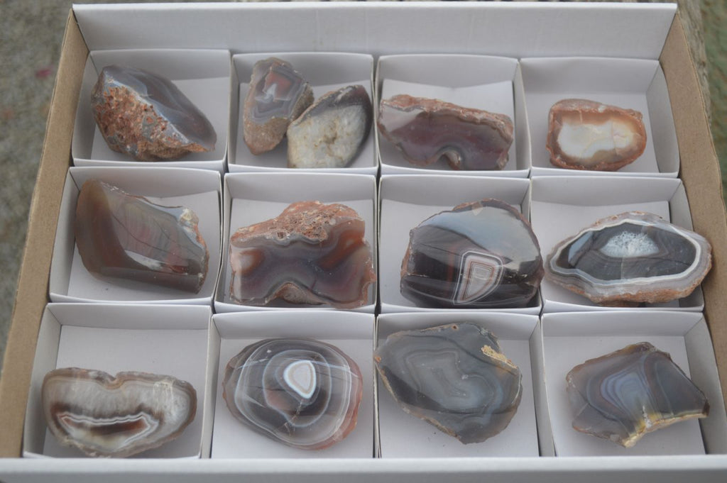 Polished Red River Agate Nodules  x 13 From Sashe River, Zimbabwe - Toprock Gemstones and Minerals 