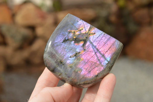 Polished Rare Purple Flash Labradorite Standing Free Forms  x 6 From Tulear, Madagascar - TopRock