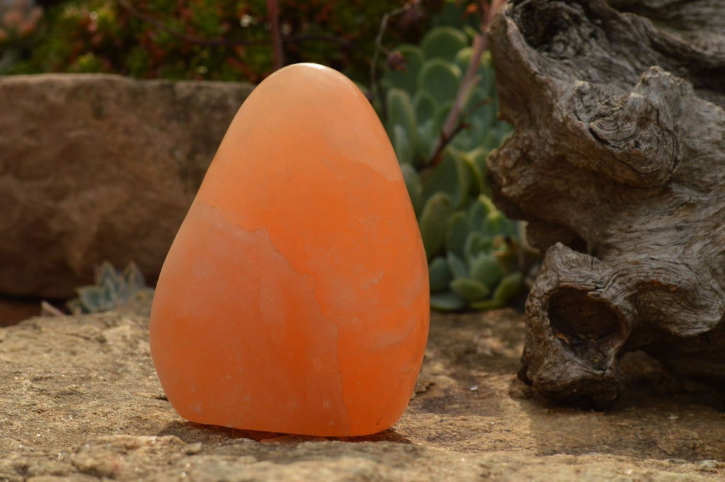 Polished Orange Twist Calcite Standing Free Forms  x 4 From Madagascar - TopRock