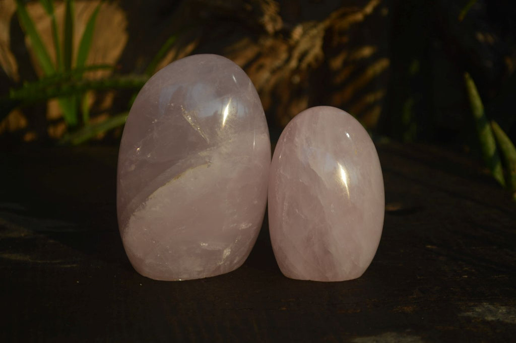 Polished Pink Rose Quartz Standing Free Forms x 6 From Antsirabe, Madagascar - Toprock Gemstones and Minerals 